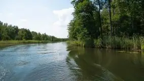 Zdjęcia: Malowniczy szlak wodny z Węgorzewa na Mamry - zdjęcie 29