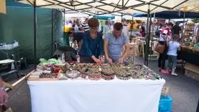 Zdjęcia: Kultura i sztuka ludowa w pełnej krasie - zdjęcie 39