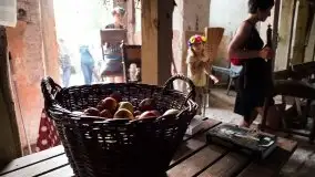 Zdjęcia: STN:ORT Pałac Festiwal. Niesamowite spotkania w historycznym miejscu - zdjęcie 7