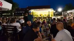 Zdjęcia: Szanty, irlandzki folk i bluegrass na sztynorckiej scenie  - zdjęcie 4