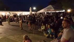 Zdjęcia: Szanty, irlandzki folk i bluegrass na sztynorckiej scenie  - zdjęcie 19