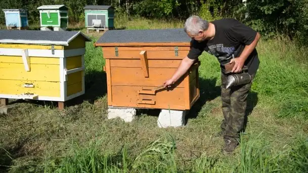 Zdjęcia: Odwiedzamy leśną pasiekę, czyli Mazury na słodko - zdjęcie 2