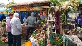 Zdjęcia: Mazurscy rolnicy dziękują za plony  - zdjęcie 20