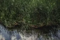 Zdjęcia: Miłośnicy Mazur - Maison du Temps - "Mazury na piechotę" - zdjęcie 6