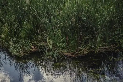 Zdjęcia: Miłośnicy Mazur - Maison du Temps - "Mazury na piechotę" - zdjęcie 6