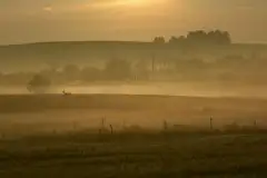 Z zamiłowania do przyrody, w fotografii Mariusza Kulisia - zdjęcie 3