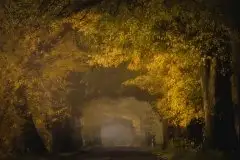 Z zamiłowania do przyrody, w fotografii Mariusza Kulisia - zdjęcie 5