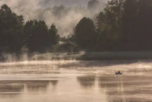 Z zamiłowania do przyrody, w fotografii Mariusza Kulisia - zdjęcie 7