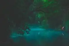 Z zamiłowania do przyrody, w fotografii Mariusza Kulisia - zdjęcie 8