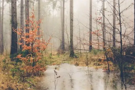 Z zamiłowania do przyrody, w fotografii Mariusza Kulisia - zdjęcie 10