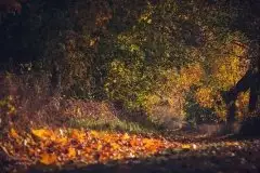 Z zamiłowania do przyrody, w fotografii Mariusza Kulisia - zdjęcie 16