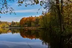 Z zamiłowania do przyrody, w fotografii Mariusza Kulisia - zdjęcie 22