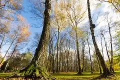 Z zamiłowania do przyrody, w fotografii Mariusza Kulisia - zdjęcie 27