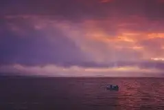 Z zamiłowania do przyrody, w fotografii Mariusza Kulisia - zdjęcie 28