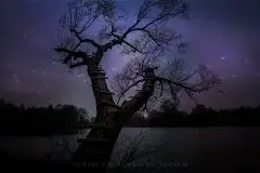 Zdjęcia: Miłośnicy Mazur - Pasja Fotografii w galerii Tomasza Ziółkowskiego - zdjęcie 20