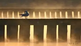 Zdjęcia: Miłośnicy Mazur - magia w zdjęciach Grzegorza - zdjęcie 32