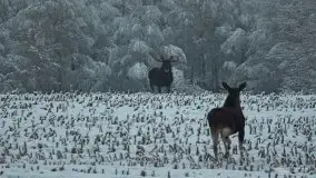 Zdjęcia: Miłośnicy Mazur - magia w zdjęciach Grzegorza - zdjęcie 23