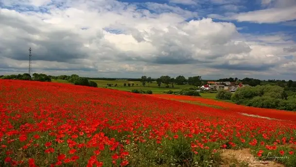 Zdjęcia: Miłośnicy Mazur - magia w zdjęciach Grzegorza - zdjęcie 9
