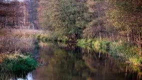 Zdjęcia: Miłośnicy Mazur - Zwykłe, czy niezwykłe... życie - zdjęcie 35