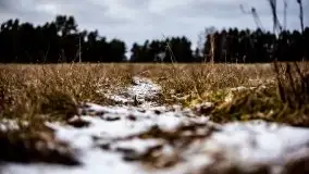 Zdjęcia: Miłośnicy Mazur - Zwykłe, czy niezwykłe... życie - zdjęcie 23