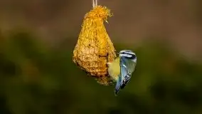 Zdjęcia: Miłośnicy Mazur - Zwykłe, czy niezwykłe... życie - zdjęcie 18