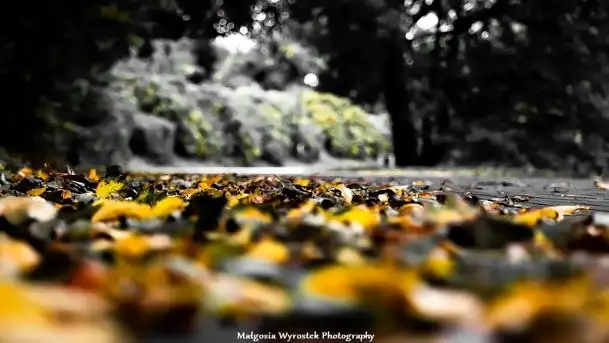 Zdjęcia: Miłośnicy Mazur - Zwykłe, czy niezwykłe... życie - zdjęcie 8