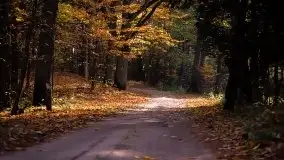 Zdjęcia: Miłośnicy Mazur - Zwykłe, czy niezwykłe... życie - zdjęcie 6