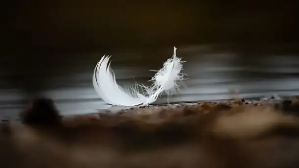 Zdjęcia: Miłośnicy Mazur - Zwykłe, czy niezwykłe... życie - zdjęcie 5