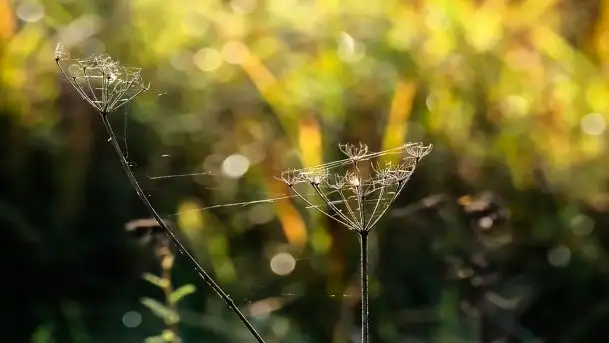 Zdjęcia: Miłośnicy Mazur - Zwykłe, czy niezwykłe... życie - zdjęcie 3