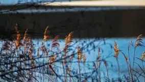 Zdjęcia: Ferie za pasem a zasp ze śniegu nie widać - zobacz zdjęcia - zdjęcie 9