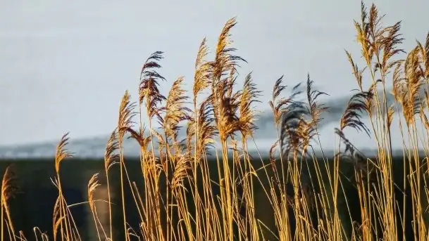 Zdjęcia: Ferie za pasem a zasp ze śniegu nie widać - zobacz zdjęcia - zdjęcie 5