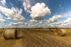 Zdjęcia: Miłośnicy Mazur - zobacz piękno niesamowitej mazurskiej przyrody - zdjęcie 46