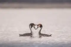 Zdjęcia: Miłośnicy Mazur - zobacz piękno niesamowitej mazurskiej przyrody - zdjęcie 6