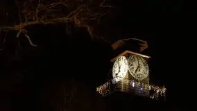 Nocne, styczniowe Giżycko, zobacz iluminację świąteczną - zdjęcie 37