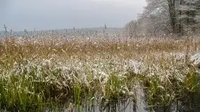 Zima na zdjęciach Tadeusza Sakowskiego - zdjęcie 17