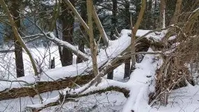 Zima na zdjęciach Tadeusza Sakowskiego - zdjęcie 14