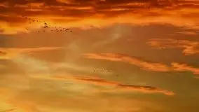 Zdjęcia: Miłośnicy Mazur, dzisiaj zdjęcia Stanisława Sielewicza - zdjęcie 28