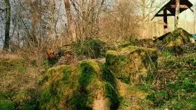 Zdjęcia: Miłośnicy Mazur, dzisiaj zdjęcia Stanisława Sielewicza - zdjęcie 24