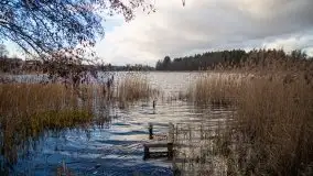 Styczniowe Wydminy bez śniegu w środku zimy - zdjęcie 54