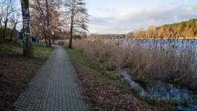 Styczniowe Wydminy bez śniegu w środku zimy - zdjęcie 42