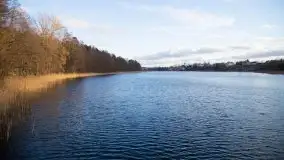 Styczniowe Wydminy bez śniegu w środku zimy - zdjęcie 41