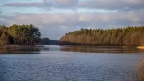 Styczniowe Wydminy bez śniegu w środku zimy - zdjęcie 38