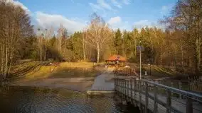 Styczniowe Wydminy bez śniegu w środku zimy - zdjęcie 37