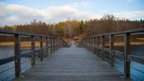 Styczniowe Wydminy bez śniegu w środku zimy - zdjęcie 35