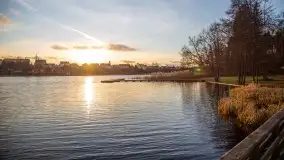 Styczniowe Wydminy bez śniegu w środku zimy - zdjęcie 20