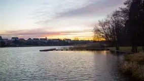 Styczniowe Wydminy bez śniegu w środku zimy - zdjęcie 18