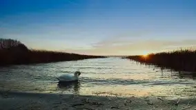 Zdjęcia: Miłośnicy Mazur, dzisiaj zdjęcia Stanisława Sielewicza - zdjęcie 1