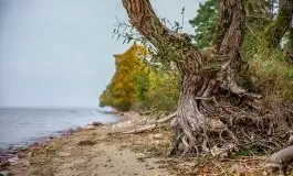 Zdjęcia: Miłośnicy Mazur - dusza Mazur na zdjęciach Piotra Mierzejewskiego - zdjęcie 29