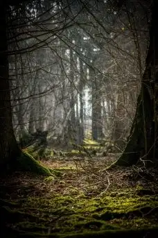 Zdjęcia: Miłośnicy Mazur - dusza Mazur na zdjęciach Piotra Mierzejewskiego - zdjęcie 12