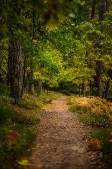 Zdjęcia: Miłośnicy Mazur - dusza Mazur na zdjęciach Piotra Mierzejewskiego - zdjęcie 20